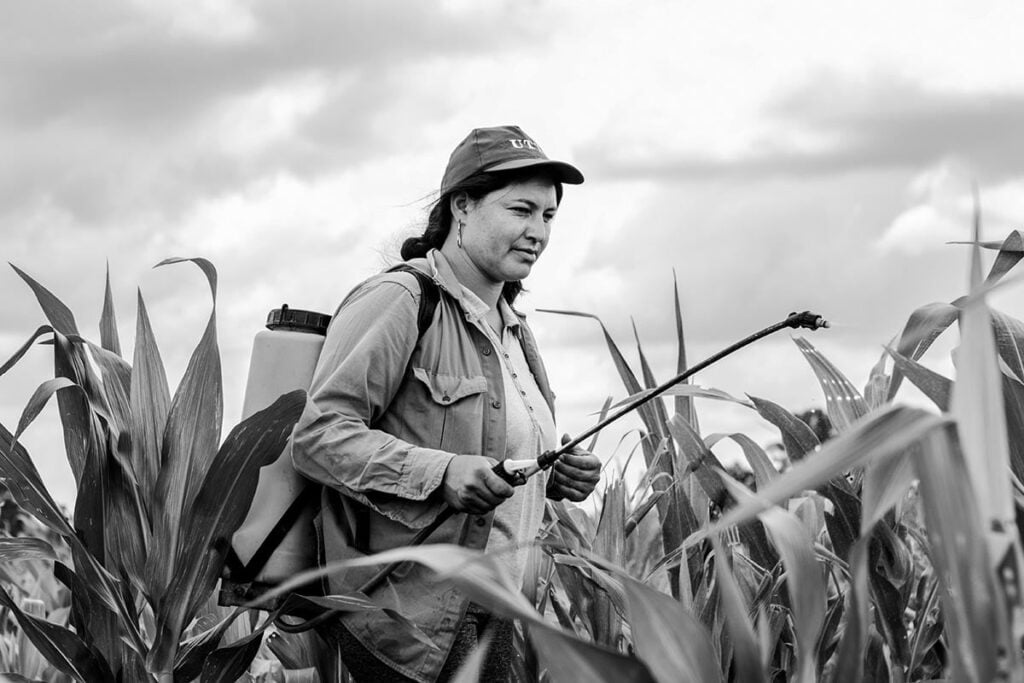 Bioinsumos: “Lo que sale de la tierra vuelve a la tierra”